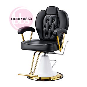 Haydraulic Chair Model B853